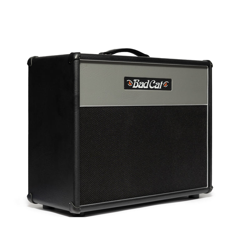 Era 1x12" Extension Cabinet